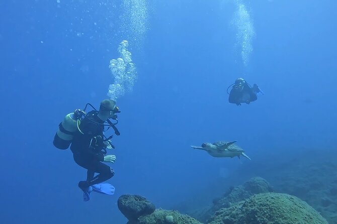 Jubilee Shoals guided boat dives - Key points you should know before you go