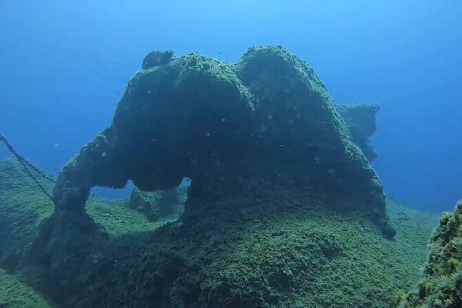 Jubilee Shoals guided boat dives - Your two underwater sessions: what to expect, and how depth choices work