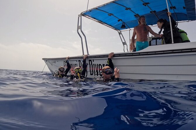 Jubilee Shoals guided boat dives - A real booking mix-up, and why the provider response matters