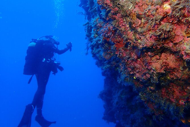 Jubilee Shoals guided boat dives - Who should book this Jubilee Shoals trip, and who might skip it