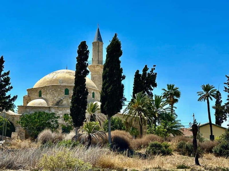 Larnaca: private guide to explore the Top-Sightseeings - Salt Lakes and flamingos: nature that changes with the season