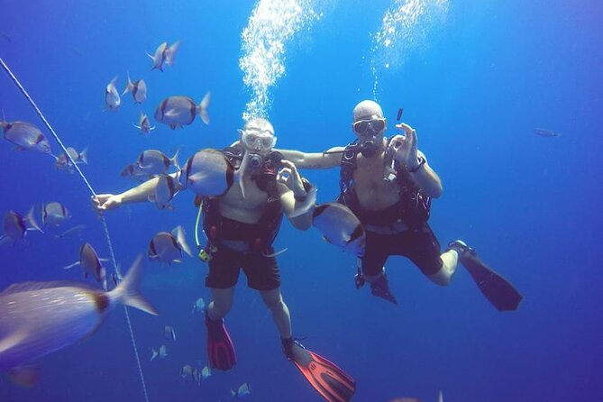 Larnaca Private Zenobia Beginners Divers - Key things to know before you go
