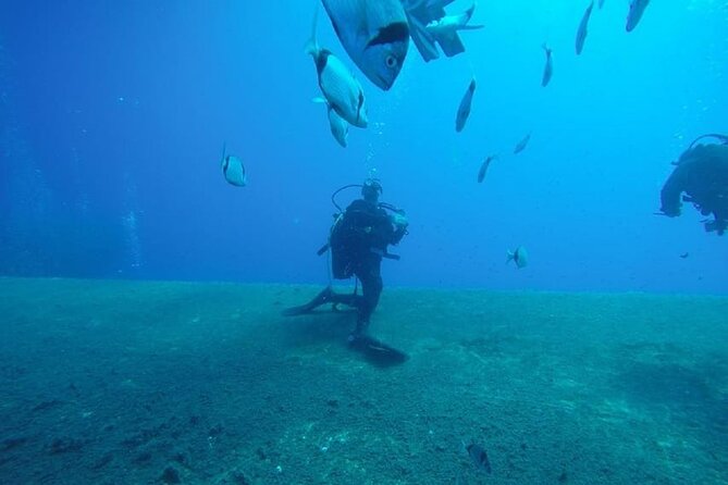 Larnaca Private Zenobia Beginners Divers - Private means personal, and that should show in professionalism