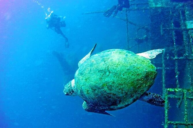 Larnaca: Private Zenobia Beginners Divers - What Happens on Land Before You Get Wet