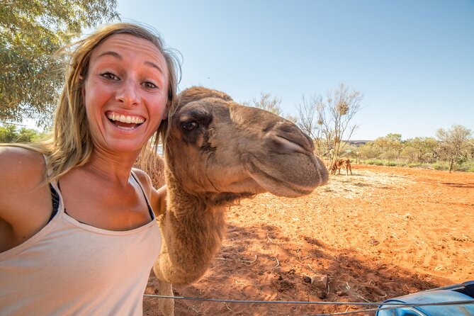 Larnaca's Splendors: From Ancient Echoes to Wine - Golden Donkeys Farm: rustic charm and gentle donkey time