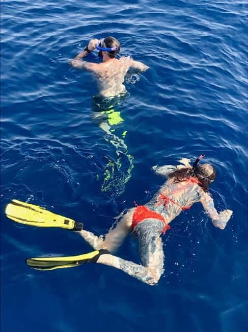 Larnaca: Snorkelling Zenobia Wreck Plus Mini Cruise - Instructor and languages: how to set your expectation