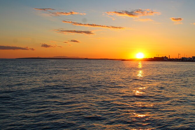 Larnaca Sunset Cruise - The First Coast Moment: Palm Trees and Easy Coastal Scenery