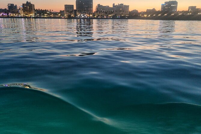 Larnaca Sunset Cruise with Unlimited Beers & Wine - Underwater cabin: air-conditioned marine life viewing whenever you want