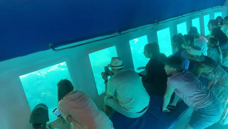 Larnaca: Sunset Cruise with Unlimited Wine & Beers - The underwater cabin: watching seabed and marine life in air-conditioned comfort