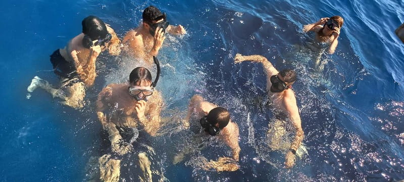 Larnaca: Yellow Submarine Swim Cruise with Unlimited Drinks - Price and value: what $29 really buys you