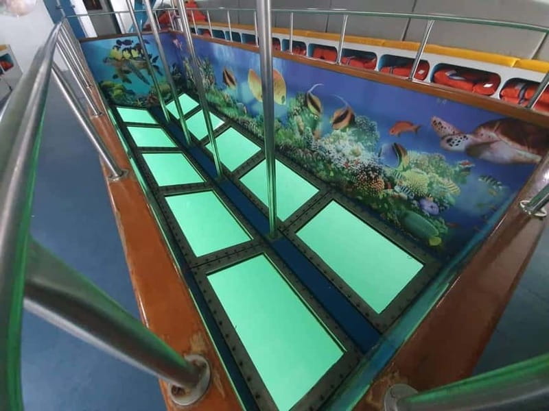 Latchi: Blue Lagoon Glass Bottom Boat Cruise with Drinks - Glass bottom cruising: the underwater show is half the fun