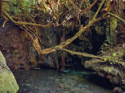 Aphrodite Baths & Blue Lagoon Bus & Boat Day Trip