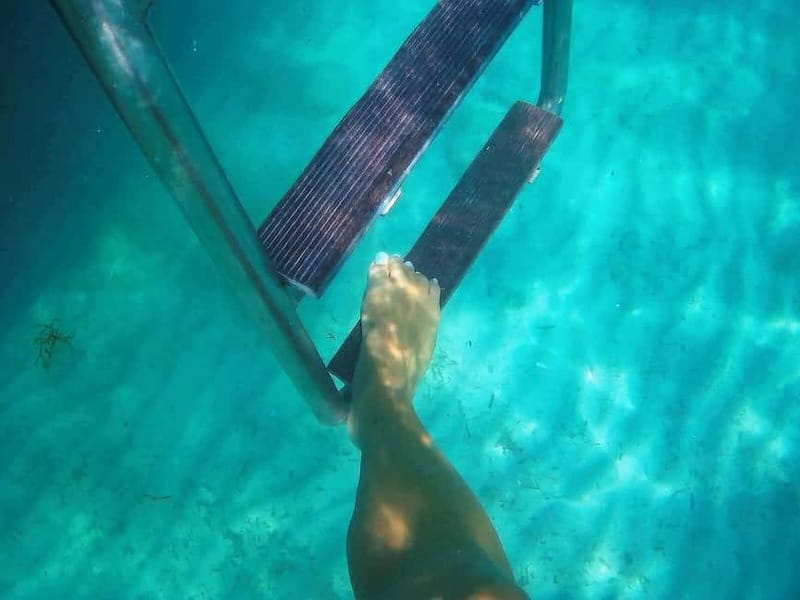 Limassol: Aphrodite Baths & Blue Lagoon Bus & Boat Day Trip - Price and value: what you really get for about $76