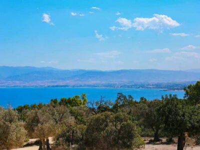 Blue Lagoon and Aphrodite’s Birthplace Day Tour