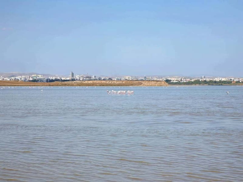 Limassol: Larnaca and Nicosia North Cyprus Private Tour - What to bring, what to wear, and what to expect at security