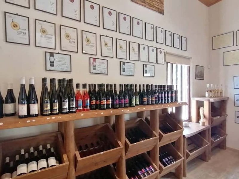 Limassol, Omodos & Wine Tasting Tour - Getting the Most Out of It: Shoes, Hat, and a Smart Pace