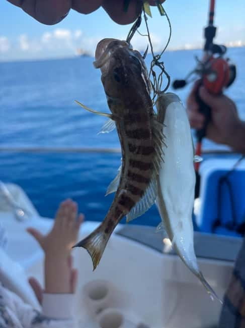 Limassol: Snorkeling trip in Limassol - What to Bring (So the Morning Feels Easy)