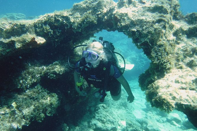 Local Guided Dives (for certified/licensed divers) - Key highlights to know before you go