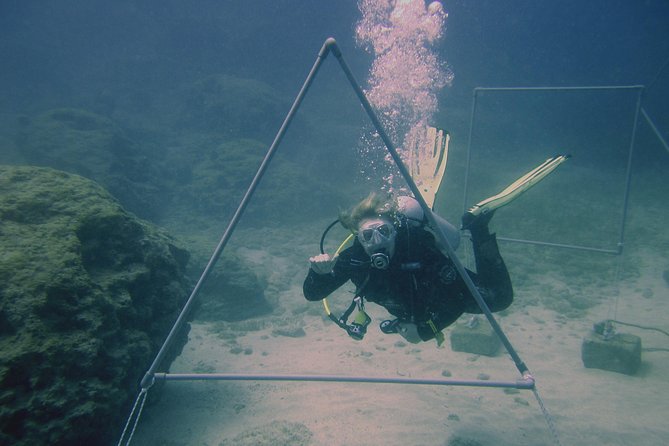 Local Guided Dives (for certified/licensed divers) - A 3-hour certified divers’ outing in Protaras with small-group care