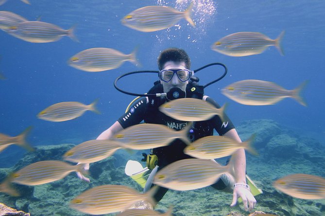 Local Guided Dives (for certified/licensed divers) - Choosing one or two guided underwater sessions (and why site choice matters)
