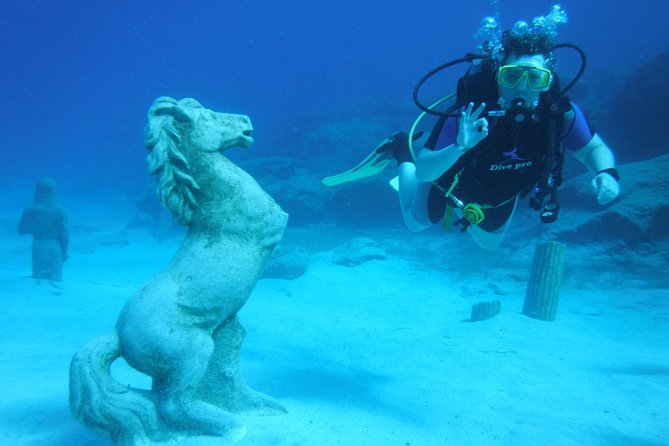 Local Guided Dives (for certified/licensed divers) - What happens after you’re back: refreshments, log books, and photos
