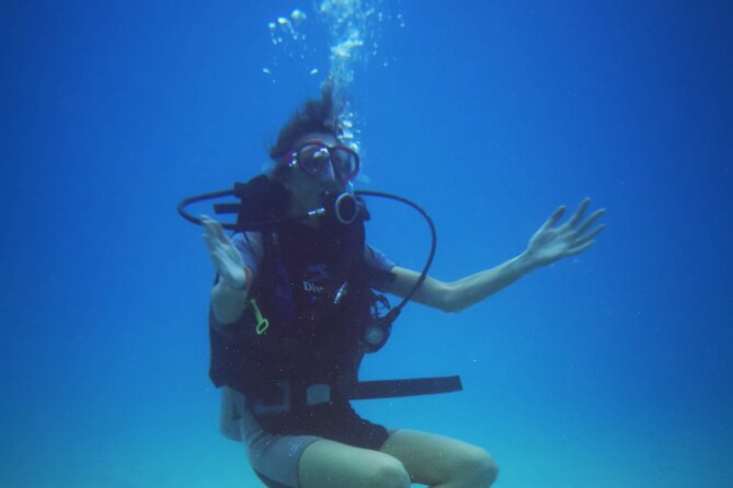 Local Guided Dives (for certified/licensed divers) - Equipment, photos, and the small comforts that change the day