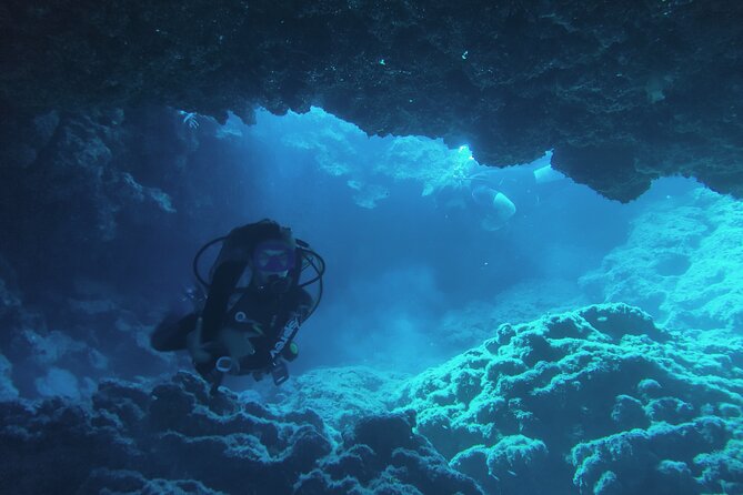Local Guided Dives (for certified/licensed divers) - Price and value: does $78.61 make sense here?
