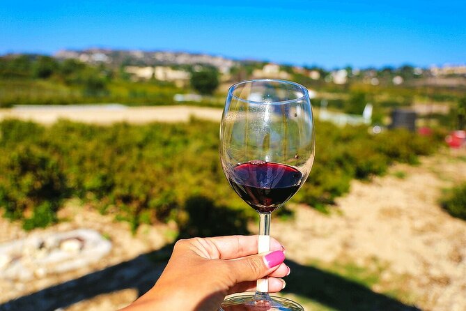 Local Wineries Tour with Wine Testing from Paphos - Key things I’d prioritize before you go