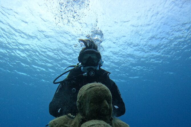 Musan Scuba Diving Private Adventure - Key highlights you will care about
