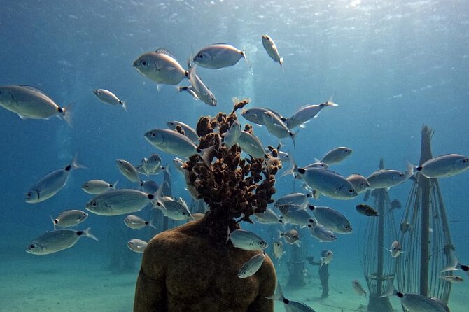 Musan Scuba Diving Private Adventure - Private Time With Ocean View Diving, Plus a Simple Morning Plan