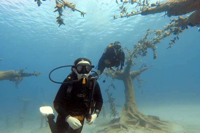 Musan Scuba Diving Private Adventure - Price and Value at $120.41 Per Person