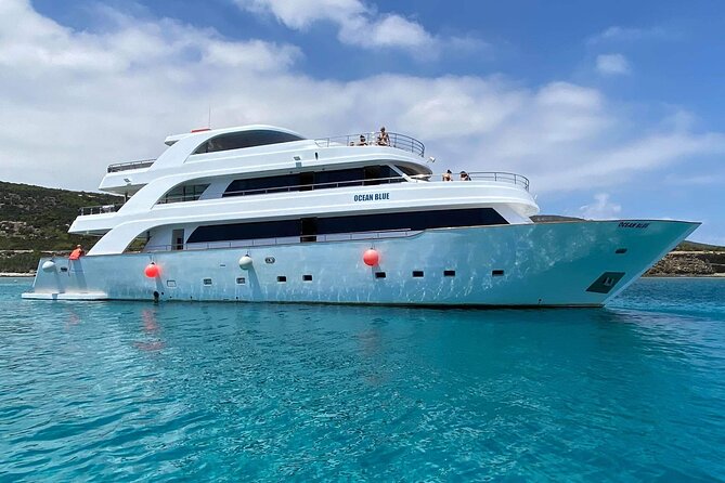 Ocean Blue | Afternoon Blue Lagoon - Key highlights you should care about