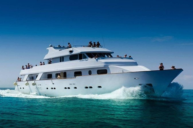 Ocean Flyer | VIP Cruise (Adults Only 18+) - Seating, Sun Beds, and Comfort: What to Expect