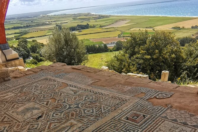 Pafos - Archaeology & Beauty tour from Limassol - Pafos mosaics in the House of Dionysus, UNESCO scenes underfoot