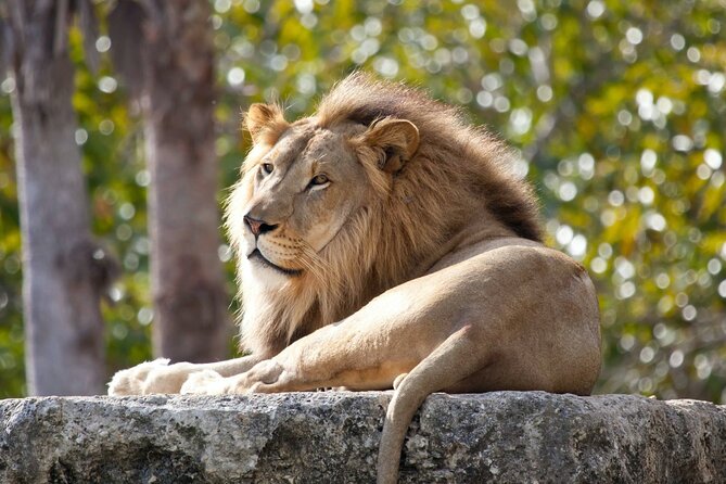 Pafos Zoo Ticket - How to spend your 4 hours inside the zoo without feeling rushed