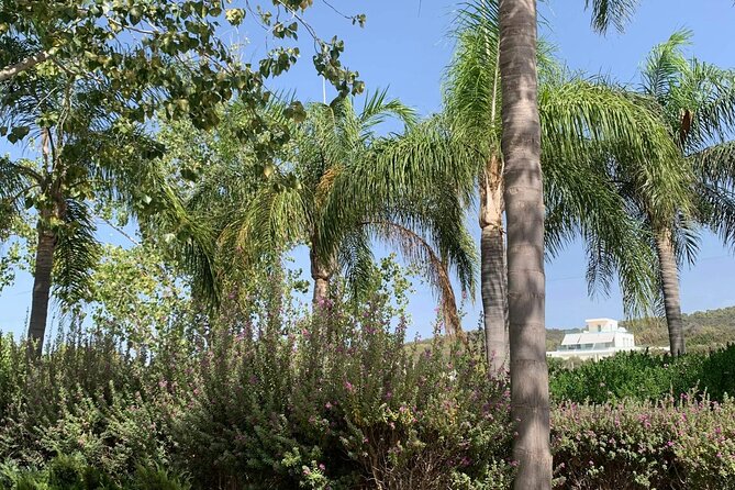 Pafos Zoo Visit & Blue Lagoon Cruise with Local Guide from Paphos - Lunch and meal choices: what families should expect