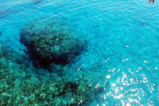 Pafos Zoo Visit & Blue Lagoon Cruise with Local Guide Limassol - Key things to know before you go