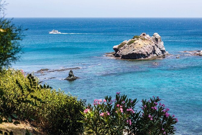 Pafos Zoo Visit & Blue Lagoon Cruise with Local Guide Limassol - What the local guide adds, and where you stay in charge