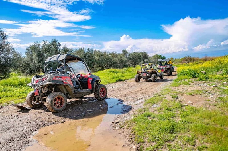 Paphos: 4x4 ATV & Buggy Safari Tour to Aphrodite's Rock - The Mandria Beach Bar Stop: A Quick Reset With Real Local Flavor