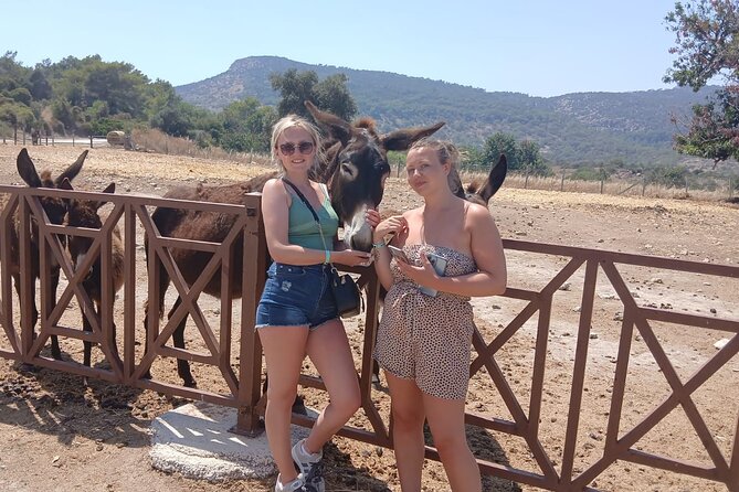 Paphos: Akamas Gorge & Turtle Bay & Donkey Farm Jeep Safari Tour - Key highlights