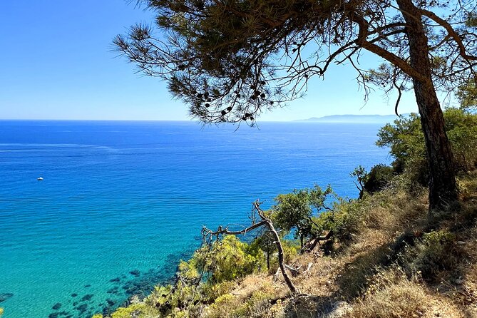 Paphos: Akamas Gorge & Turtle Bay & Donkey Farm Jeep Safari Tour - Baths of Aphrodite: myth stop, short and sweet