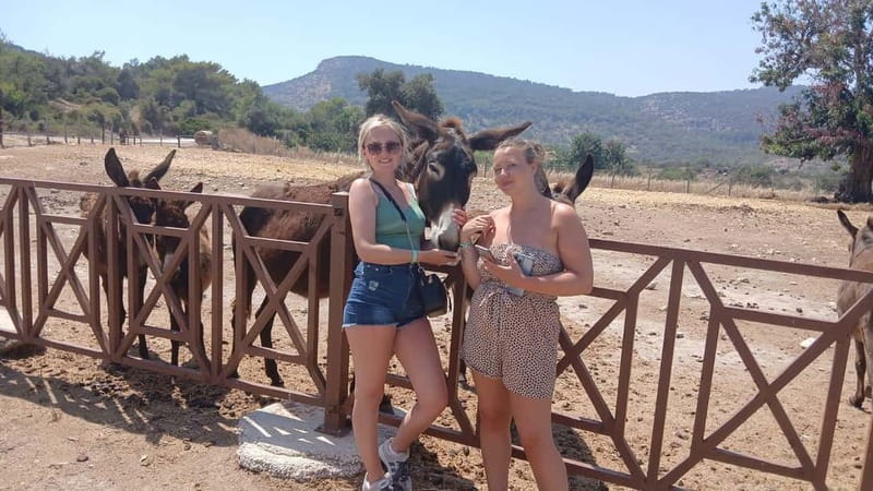 Paphos: Avakas Gorge & Turtle Bay Jeep Tour with Donkey Farm - Lara Bay Turtle Beach Time and Akamas Peninsula National Park
