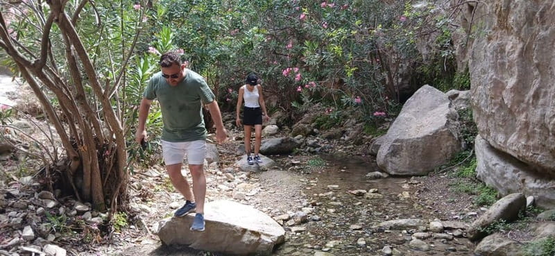 Paphos: Avakas Gorge & Turtle Bay Jeep Tour with Donkey Farm - Baths of Aphrodite and Brikia Coffee in a Traditional Village