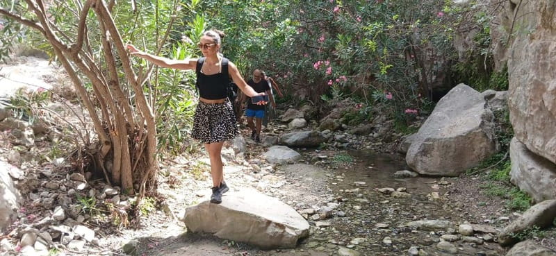 Paphos: Avakas Gorge & Turtle Bay Jeep Tour with Donkey Farm - Donkey Farm Time: Friendly Animals and a Real Moment of Joy