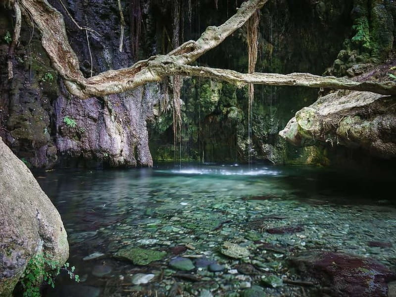 Paphos: Blue Lagoon, Aphrodite's Baths & Sea Caves Day Trip - Key highlights to know before you go
