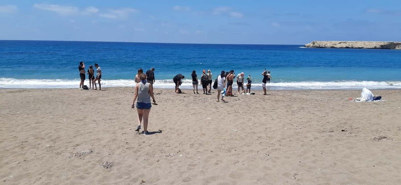 Paphos: Buggy Tour Akamas incl and Adonis Falls - Small group riding, dust reality, and safety on mixed roads