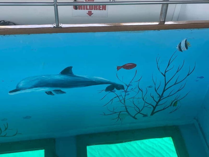 Paphos: Glass Bottom Boat Trip with Swimming or Snorkeling - Your 90-Minute Swim Stop: Clear Water, Fish, and Possible Turtle Sightings