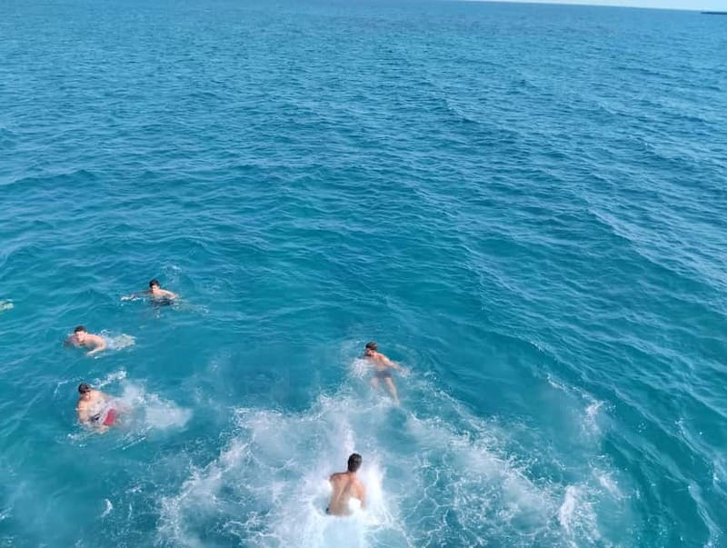 Paphos: Glass Bottom Boat Trip with Swimming or Snorkeling - Who Will Enjoy This Most in Paphos (and Who Might Not)