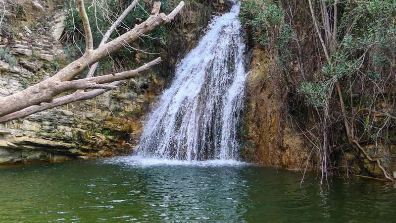 Paphos: Half Day Jeep Tour Akamas Peninsula (Private) - Key points to know before you go