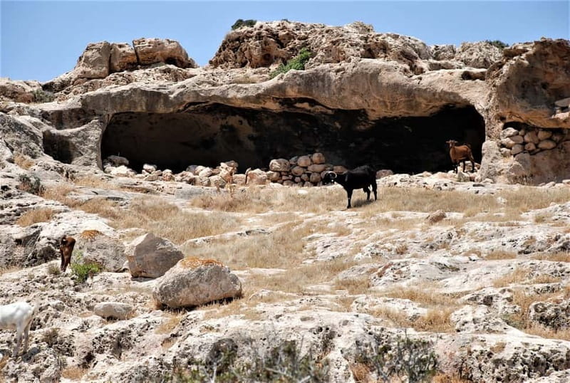 Paphos: Land Rover Jeep Safari Coastal Tour and Blue Lagoon - Price and value at about $70 for seven hours of coast access